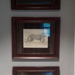 Framed Photographs With Suede Matting